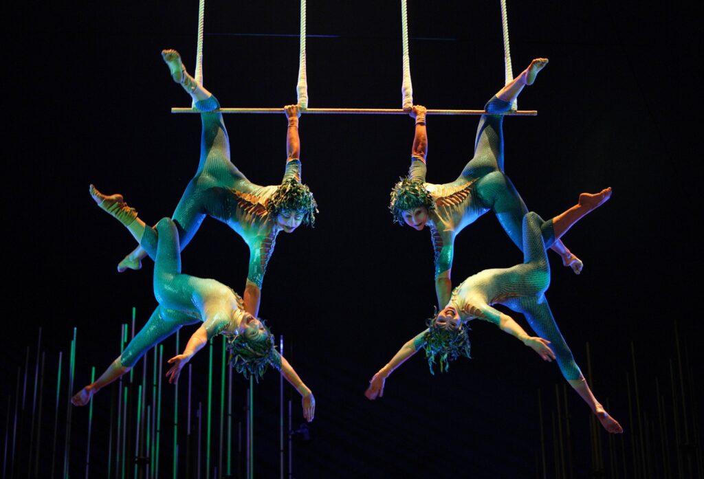 Aerial Show • acrobații aeriene