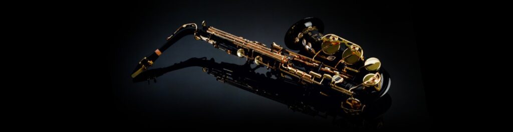 Magda Saxofon Instrumentist