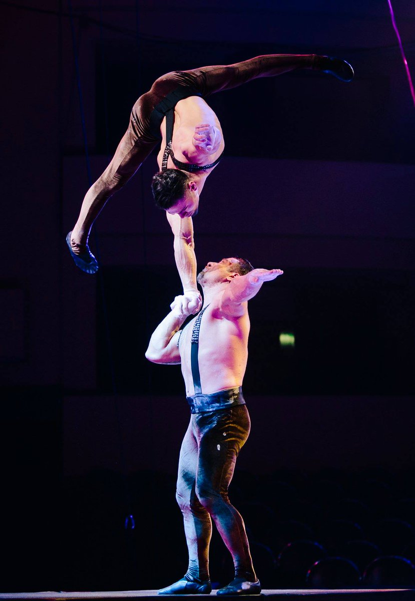 Badea Brothers — fotografie 3