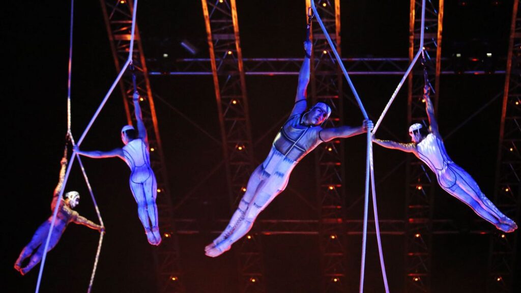 Aerial Show • acrobații aeriene — fotografie 4